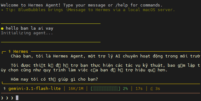 gõ Hermes để bắt đầu chat với nó ngay trên giao diện terminal