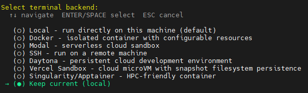 Hệ thống hỏi bạn chọn terminal backend, chọn Keep current (local)