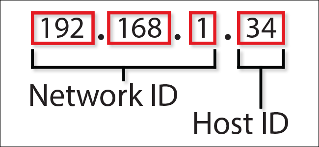 Cấu trúc của IPv4 bao gồm phần địa chỉ mạng và phần địa chỉ host